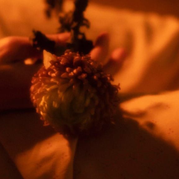 Cama